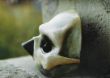 Carmina Maske Der Tod.jpg